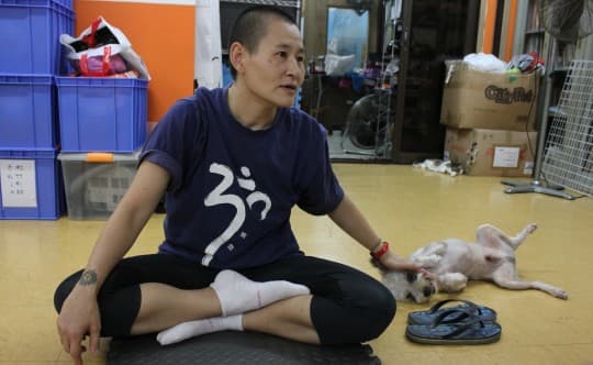 蔡詠子期望義工真正幫忙清潔多於來跟貓狗玩耍
