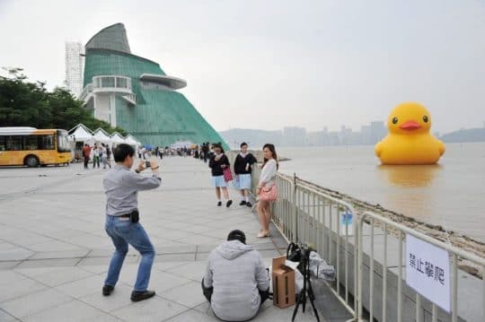 環遊世界的「黃色小鴨」來到澳門