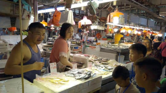 綠色未來的青年夥伴帶領大家前往下環街市場走讀《魚市場》。©井井三一繪本書屋