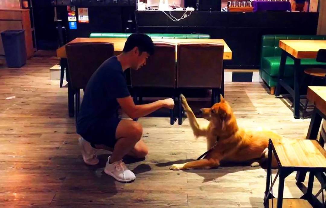 作為訓練師，包文俊當然也是愛狗之人，他自己亦養了兩隻狗，都是由收容所領養回來的，其中一隻就是訪問過程中，靜靜坐在一旁的唐狗Google。