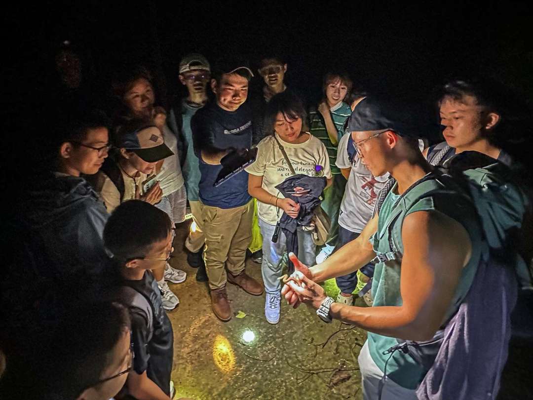 Ken常帶市民在山林野外進行夜觀活動。相片由受訪者提供