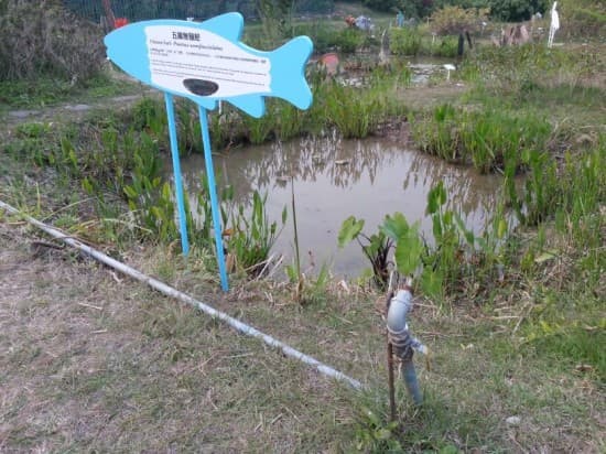 聯盟擔心生態池只靠灌溉自來水維持