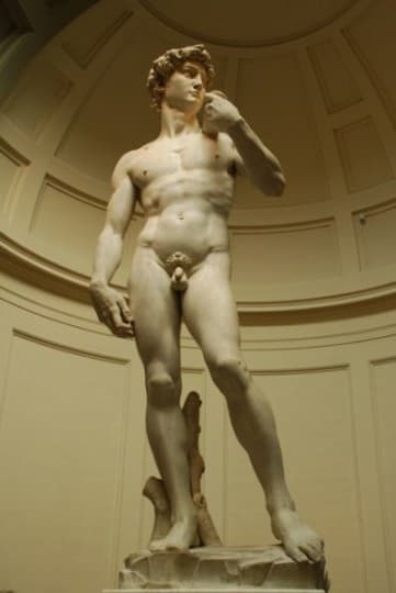 Michelangelo’s David Florence