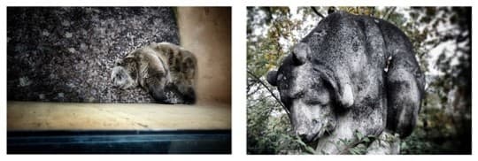 動物與雕塑／攝影：Sara Munari (1)