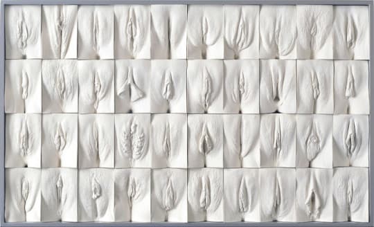 《陰道長城》由400個陰道雕塑所組成，為免過於色情，Jamie McCartney用上全白色。