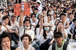 五月廿五日，超過兩萬名市民走上街頭，抗議政府推行「高官離補法案」