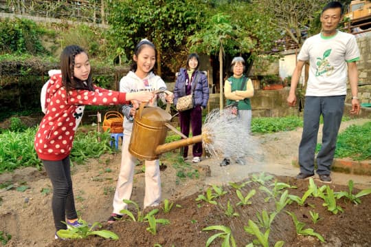 學校和團體可預約入住金像農場的渡假屋體驗農耕樂