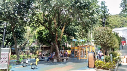 二龍喉公園有澳門少有大樹遮蔭的兒童遊戲區。