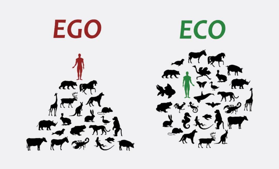 EGO和ECO的分別。
