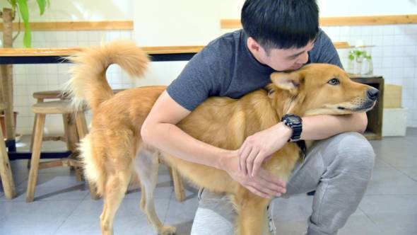 包文俊，澳門唯一一位獲得國際認可的全職犬隻行為訓練師。