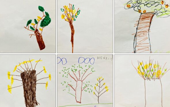 孩子們畫的風鈴木各有特色。