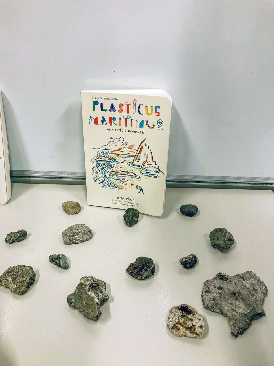 猜猜看：是石頭還是塑膠。