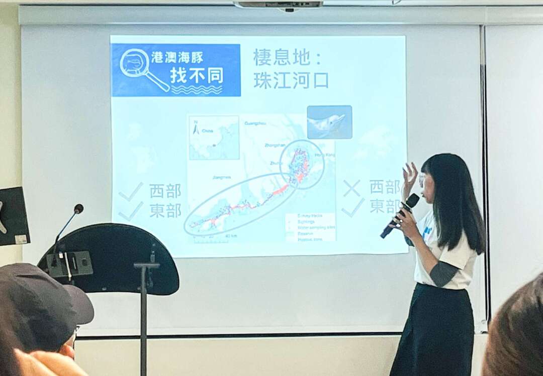 香港海豚保育學會麥希汶展示海豚分佈圖。